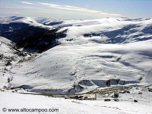 alto campoo